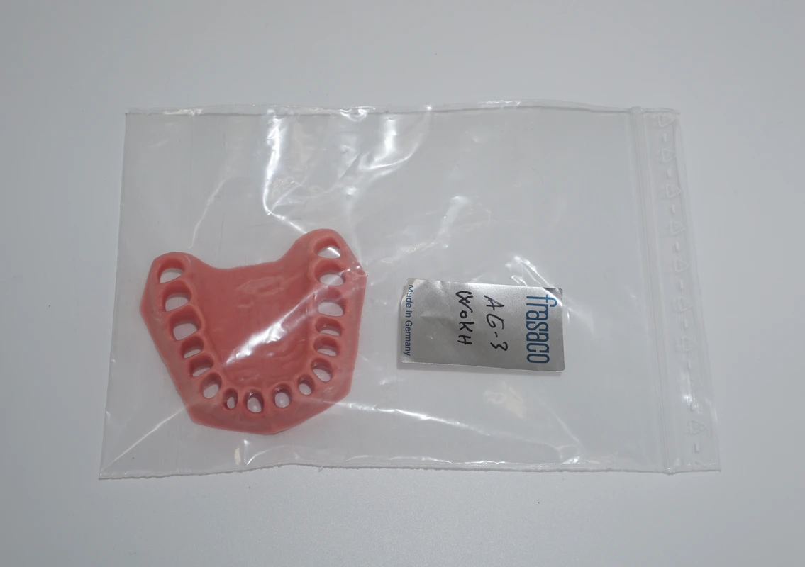 Dentalhygiene-Modell