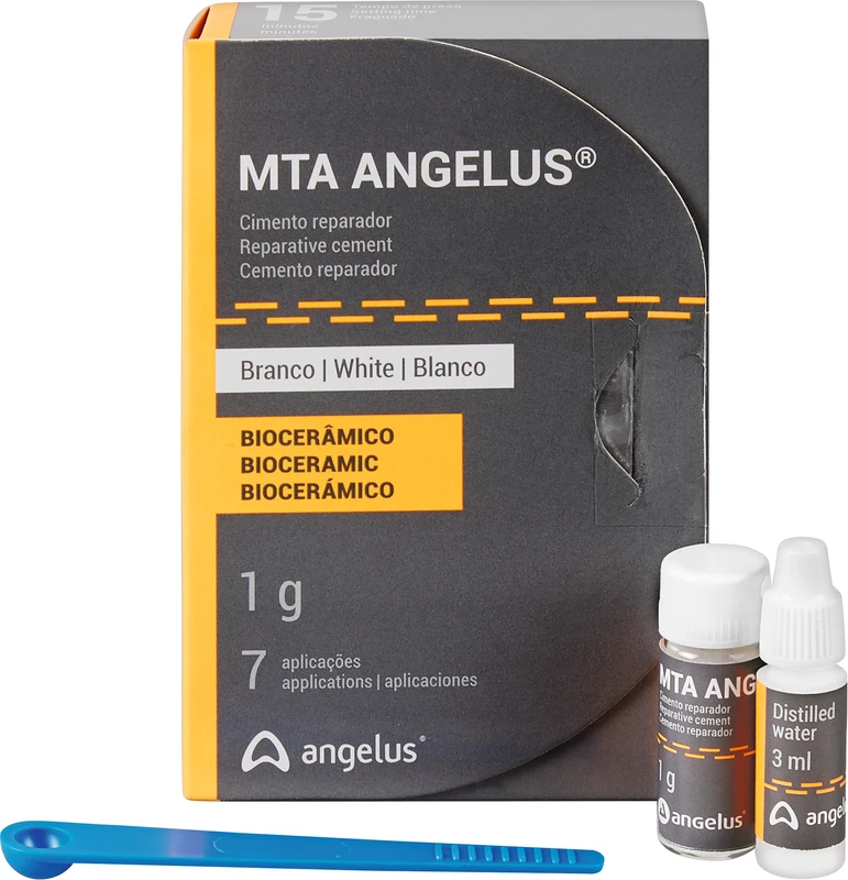 MTA-Angelus Hofmeester